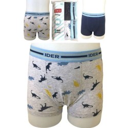  Boy's Cotton Boxer With Dinosaurs Pattern Set Of 2 Pieces Ider